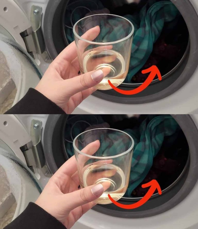 441537972 122200204922009680 1575423363251998016 N