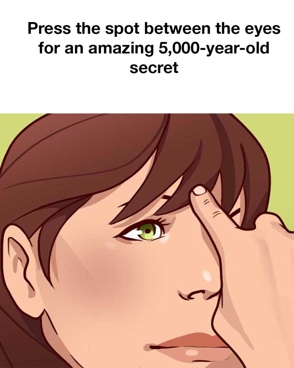 455360726 1021879766391651 4138243845083074800 N