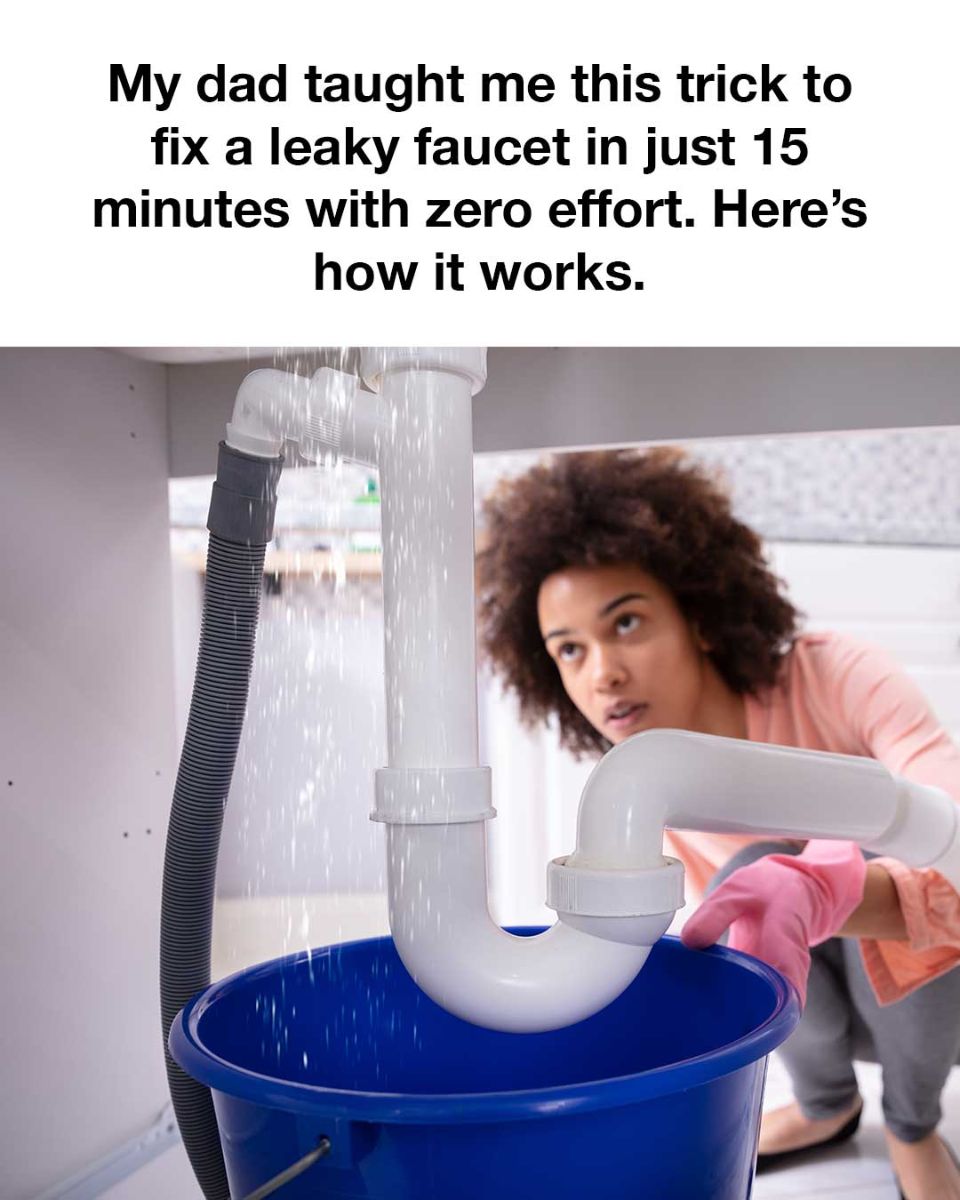 456483514 922088706629177 1489887490849342849 N
