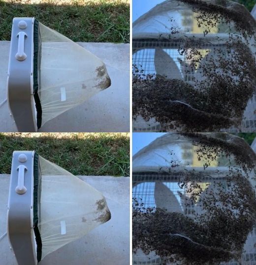 458278102 122141847440304277 7960940917361707723 N