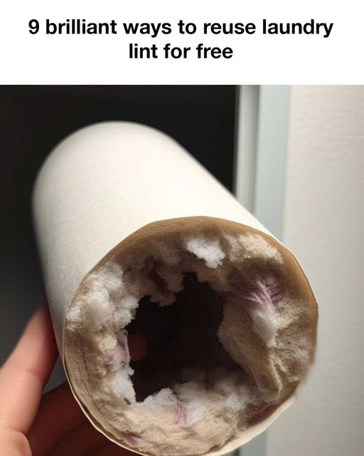 458286099 439756609103150 7187649526658326868 N