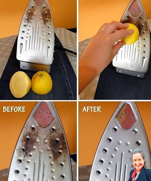 460845167 122147834252069941 4792977229648666083 N