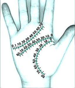 460987128 451996551212489 2926371838907084166 N