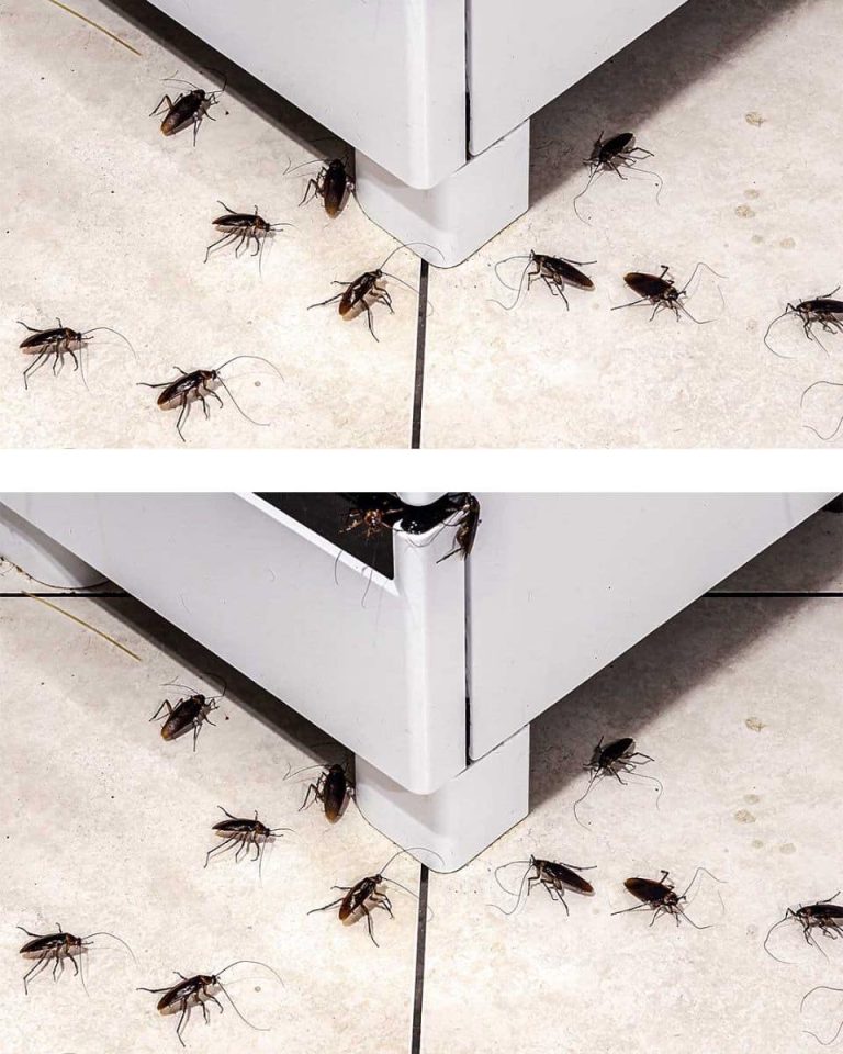 461114076 1744120356358809 675045705372157762 N