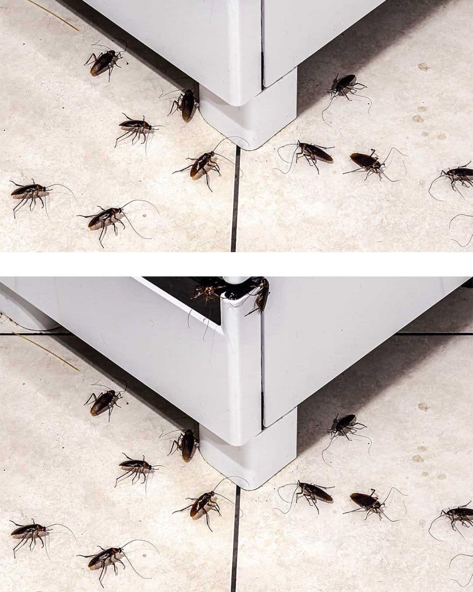 461114076 1744120356358809 675045705372157762 N