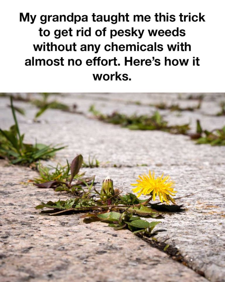 6bf053a1373fdc7bb82c6dc20df848cf