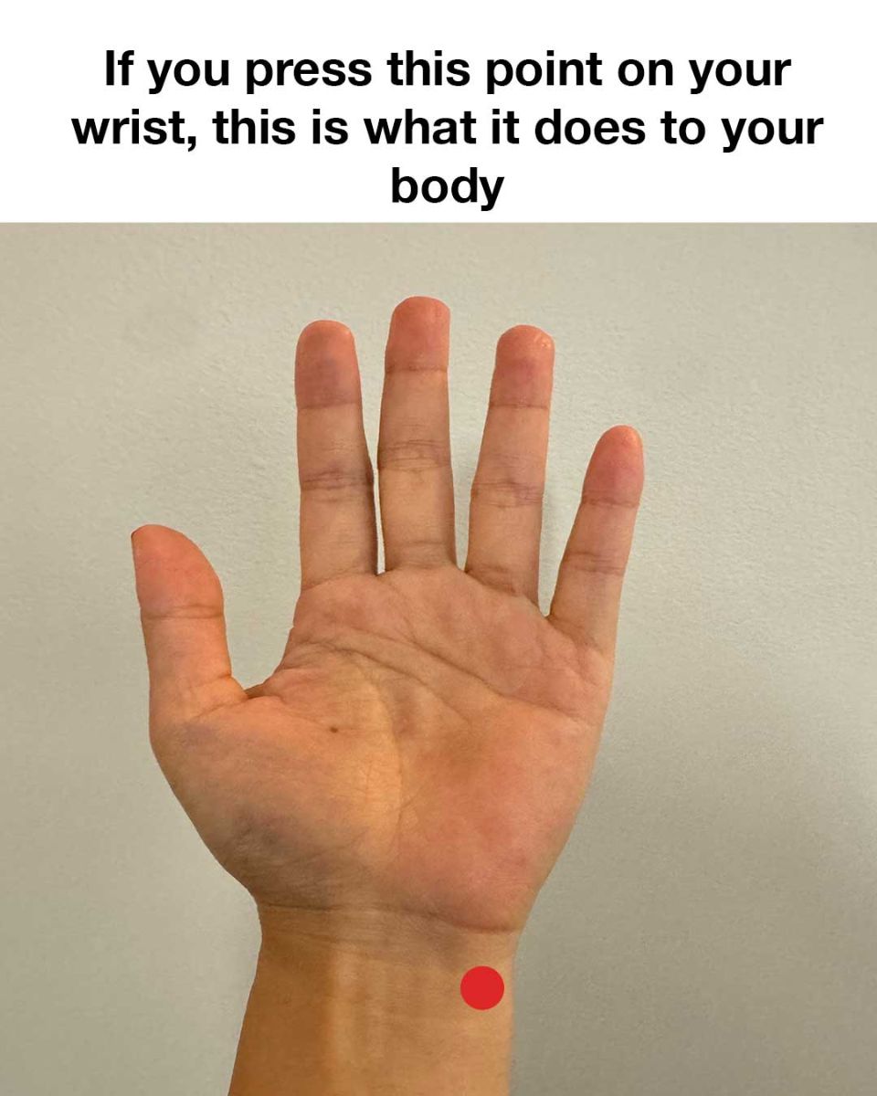 082e6a55438305c7e0e5ec0410e1b7d8
