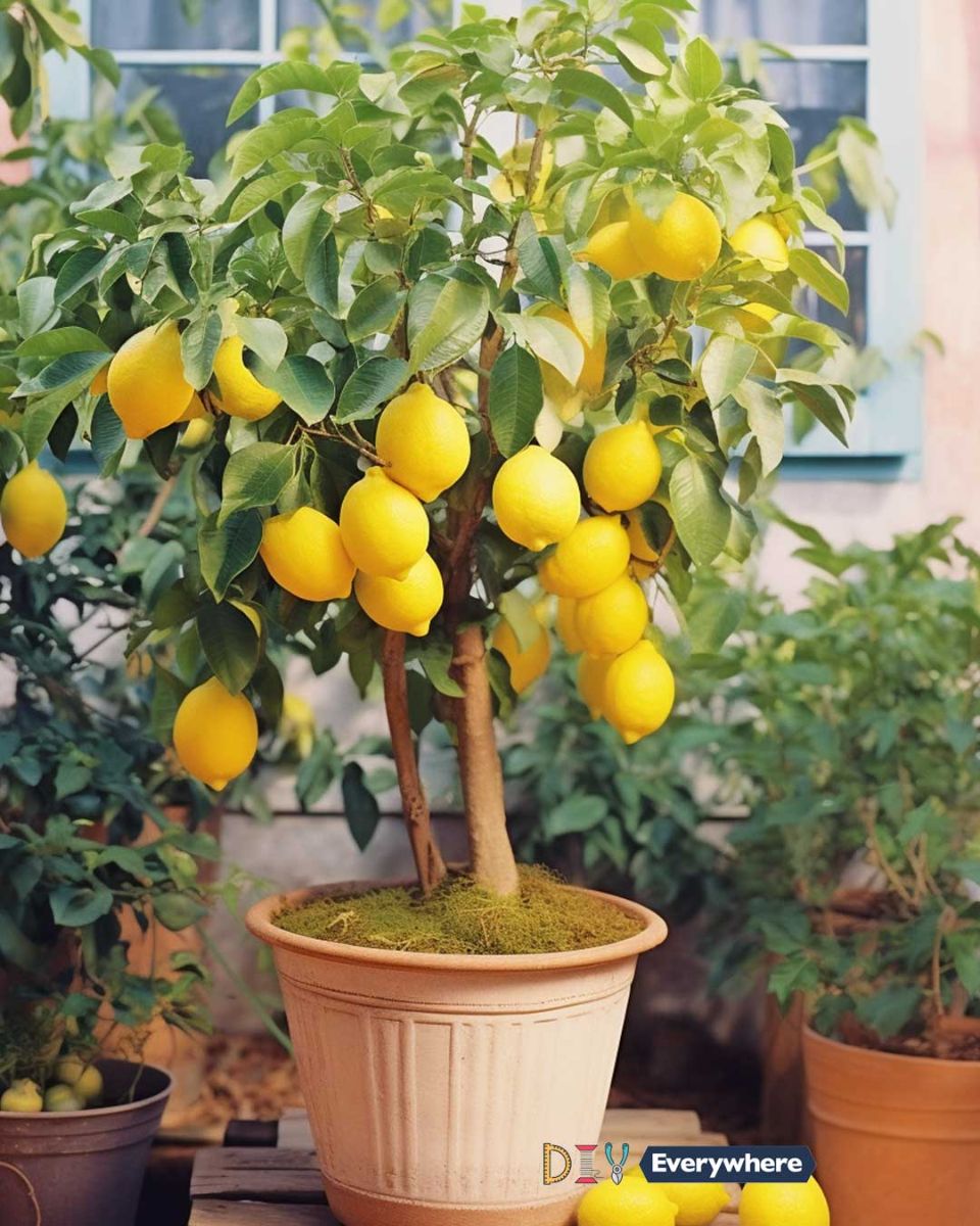 136b4fa7327cb2bcd8865812188361bc