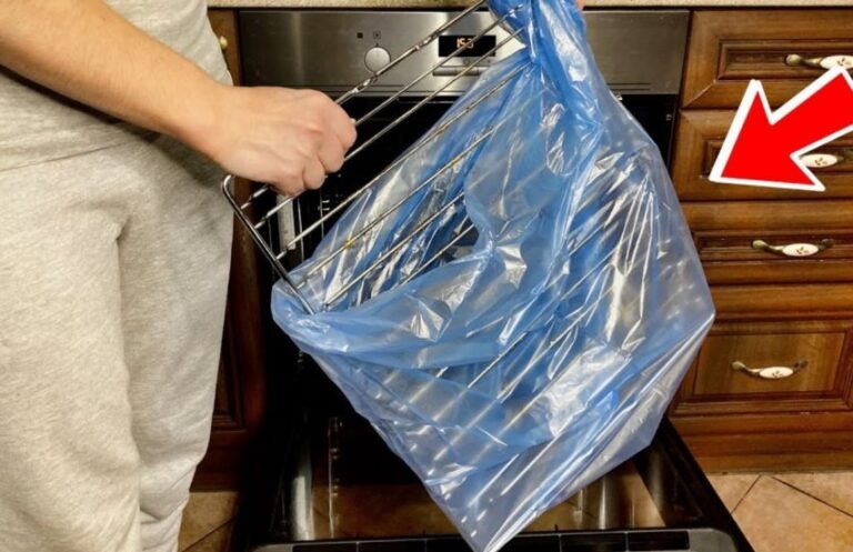 434475720 338133249261288 8311662490728732845 N 853x1024 1 E1712164366777