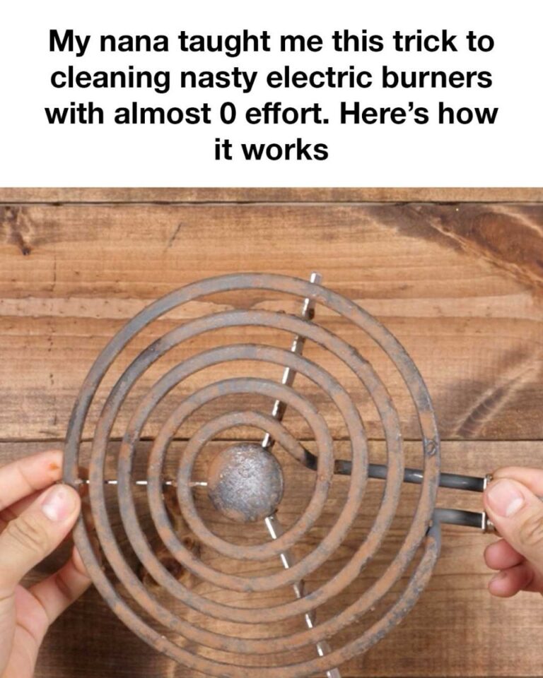 459436776 938605581644156 6988172926838062489 N