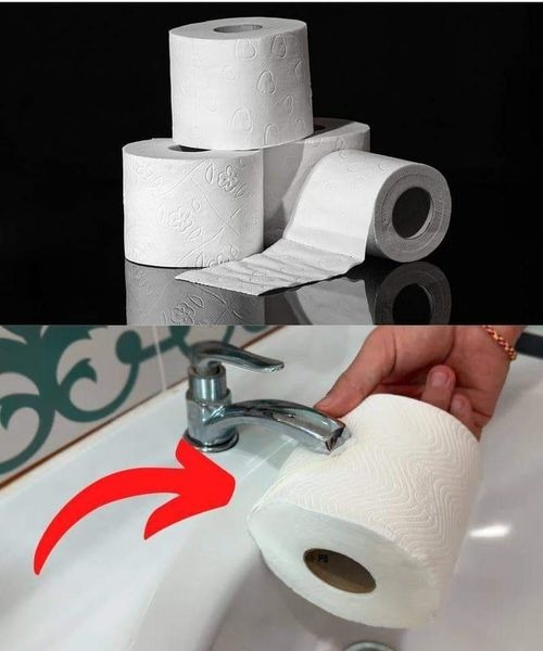 460498069 122173006412090941 2157426389725069626 N