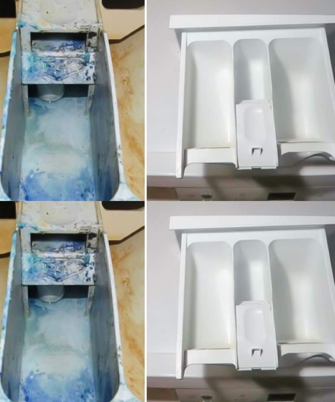 460530398 122172979562090941 3582608569595558904 N