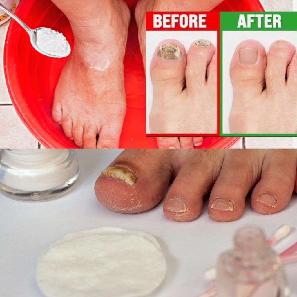 460657566 383883568112362 8446871432902871219 N 7 1024x1024