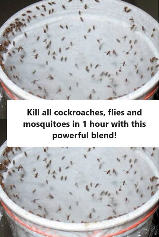 460878386 122176306946157478 8946982778840987961 N