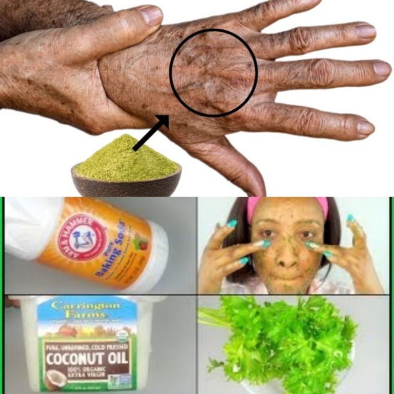 461317117 122173696694090941 515457023975281254 N