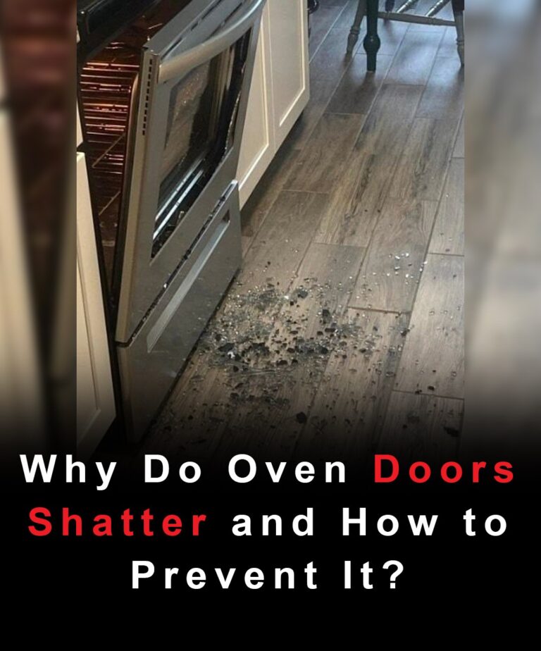 461926731 122133239696362977 6096903768241922870 N