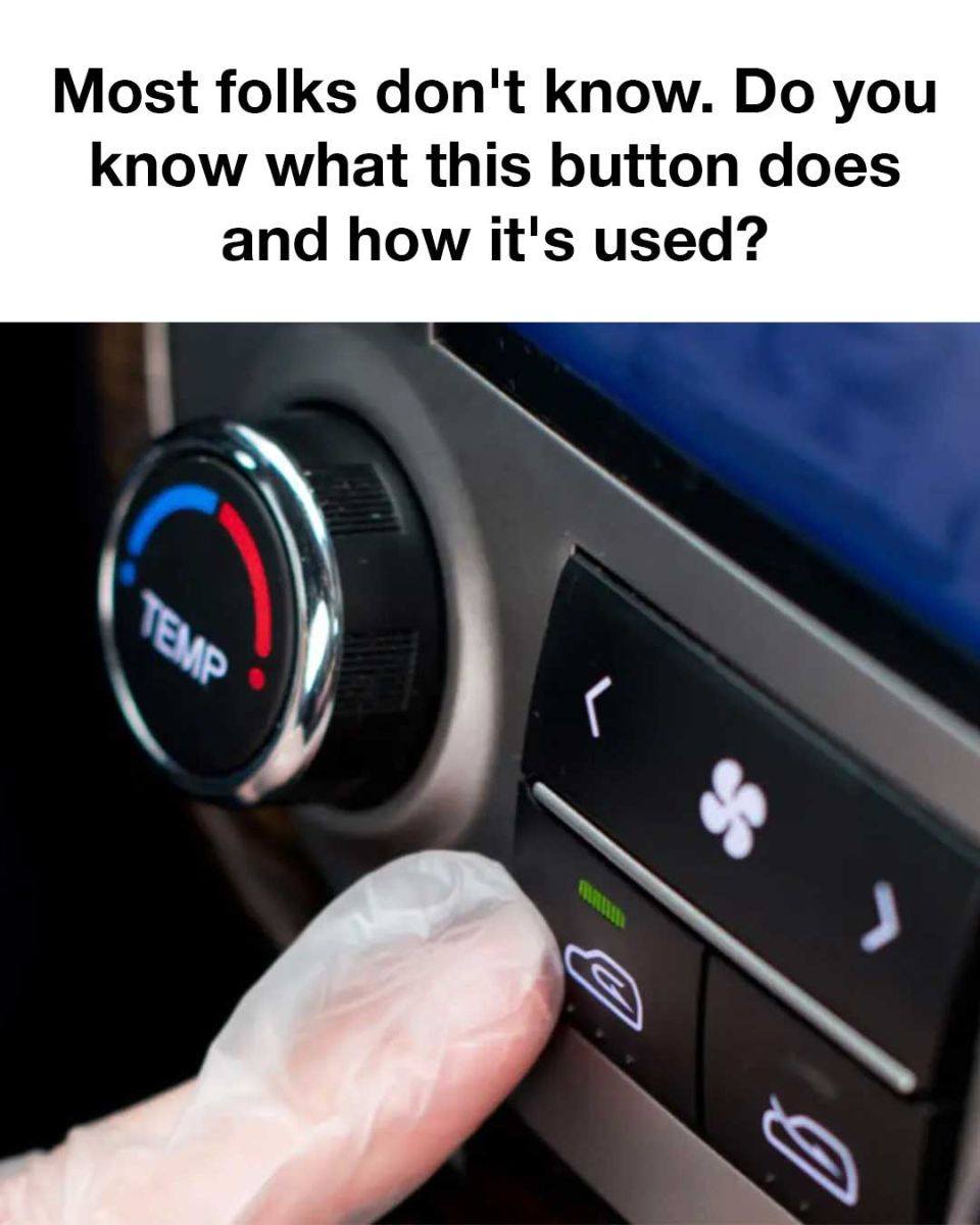 462226039 421667504293786 1789316671357810244 N
