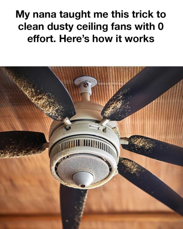 462538401 122155739786311876 7380898132404903709 N