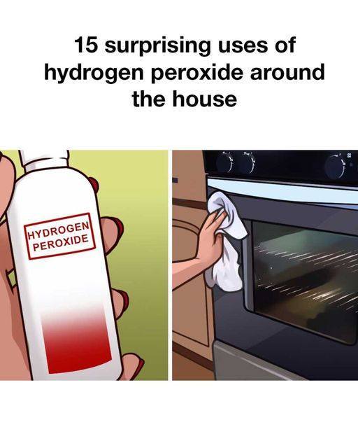 462556095 465973163148161 362950902975044008 N