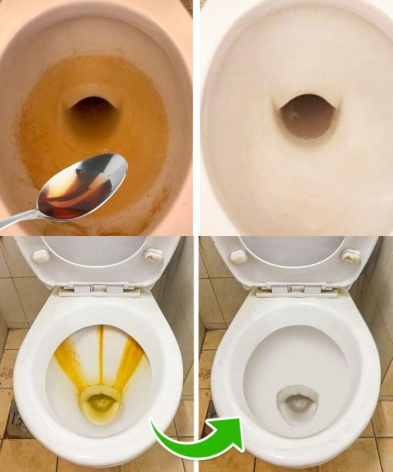 462578745 1733792844037582 754535771100726839 N