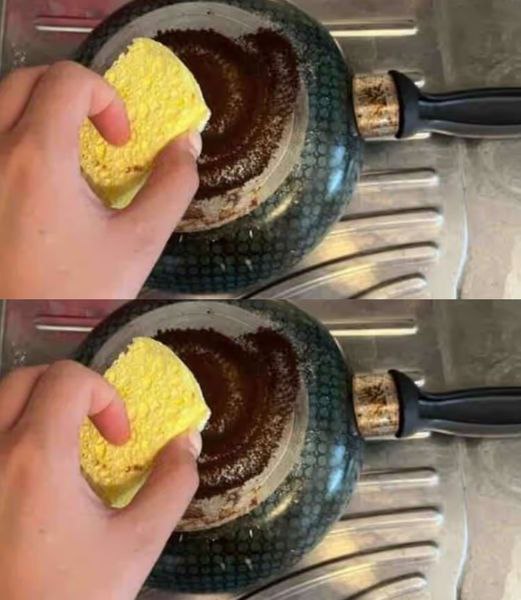 462703296 122180054462157478 4922392018983824308 N