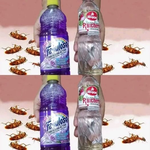 463026429 122179960904175854 1320630043406681061 N