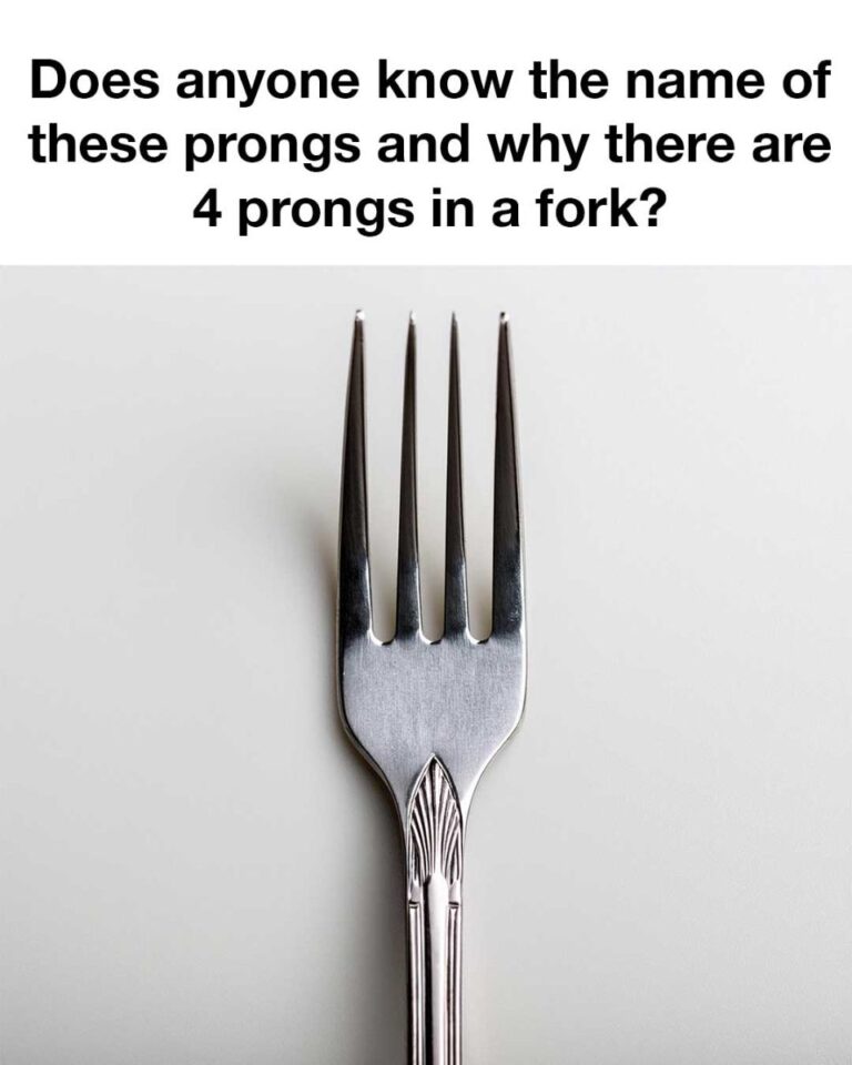 463303037 122205290522032899 8656775027538116009 N