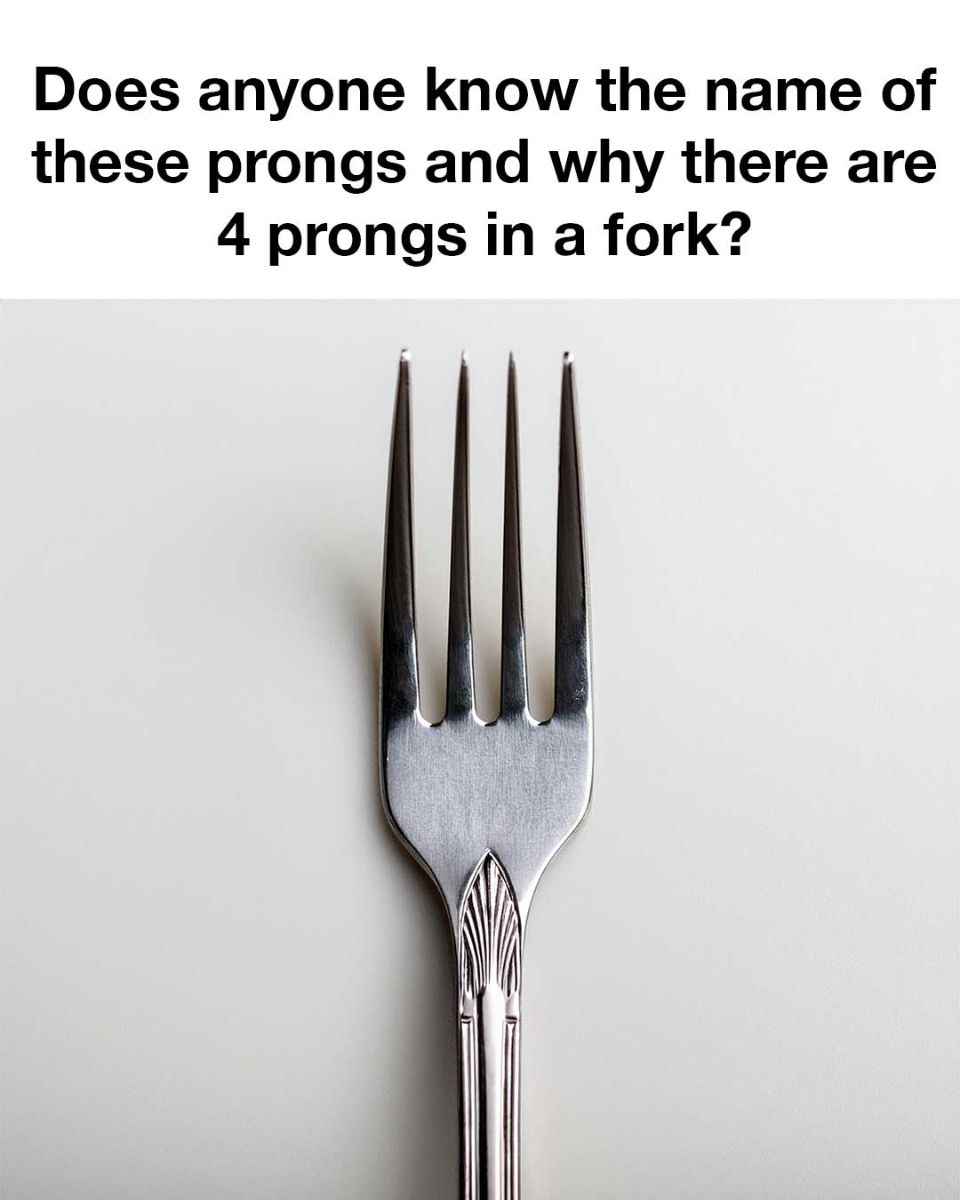 463303037 122205290522032899 8656775027538116009 N