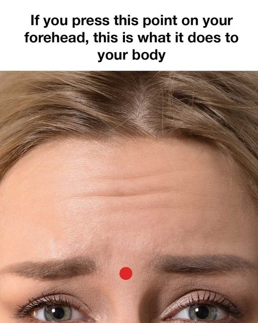 464027590 475357202209757 3422173445600742220 N