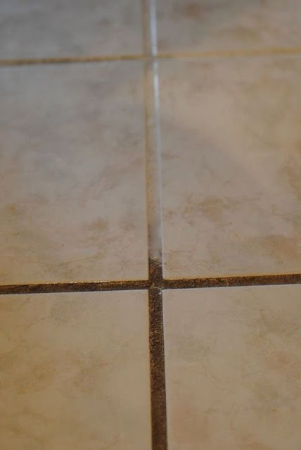 464090775 122153263052304277 335409537982043442 N