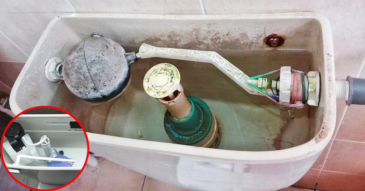 Pulire Cassetta Del Wc