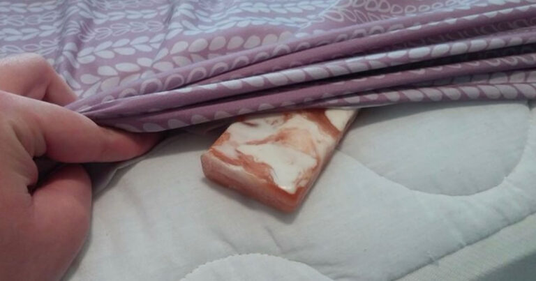 Sapone Di Marsiglia Sotto Le Lenzuola 1