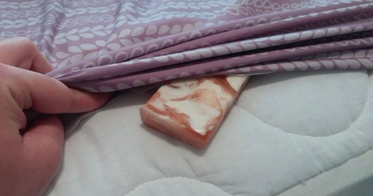 Sapone Di Marsiglia Sotto Le Lenzuola 1