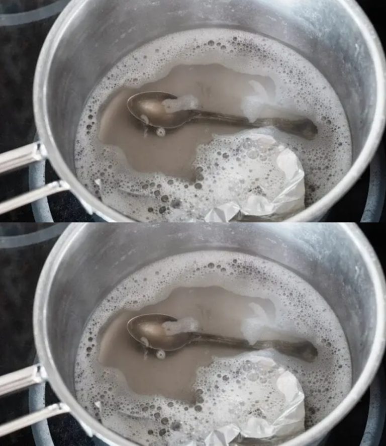 427919702 122129157344098305 4910677783831050337 N