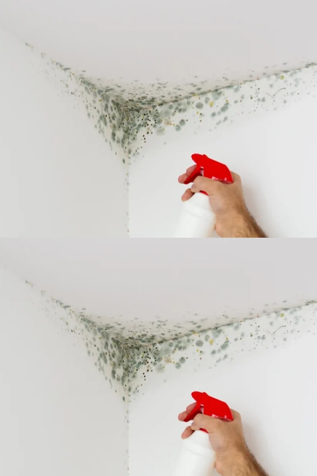 428625302 122131745150098305 922422078981163140 N