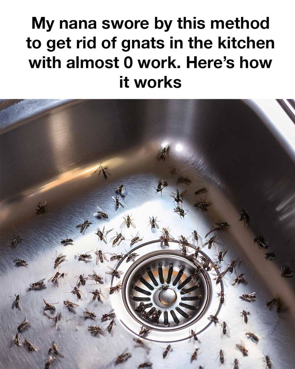 464580147 122116009112545478 1941584271585879354 N