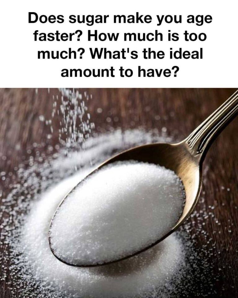 465237547 1779218126213565 439115961649090400 N
