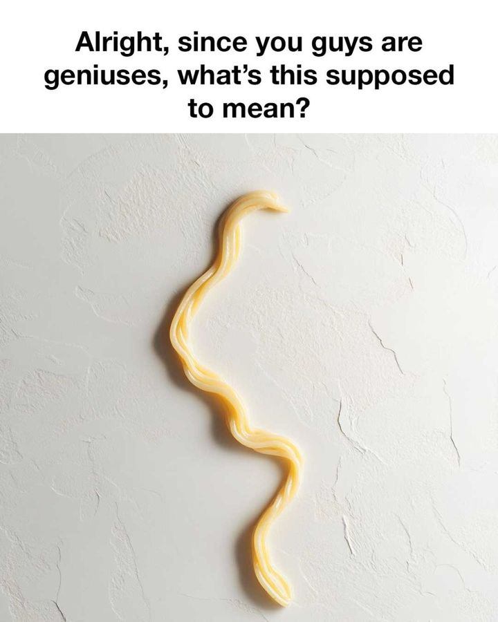 465445826 1778416552960389 3214011533341120914 N