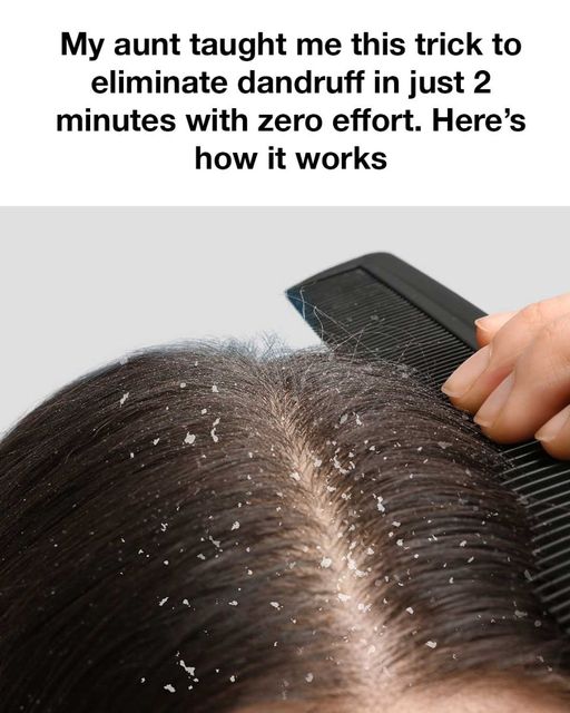 465728795 122184110852175854 7138612057353975547 N