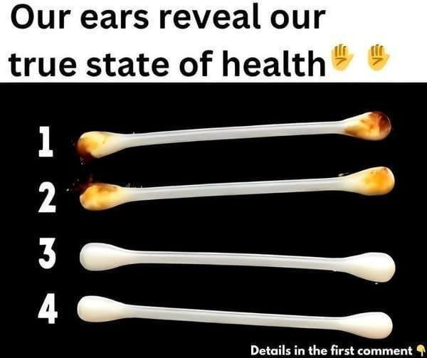 468335852 511599548549981 3423239751221423023 N
