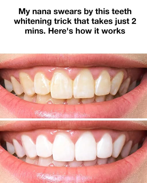 468360633 1096990612213899 6617856917193878708 N