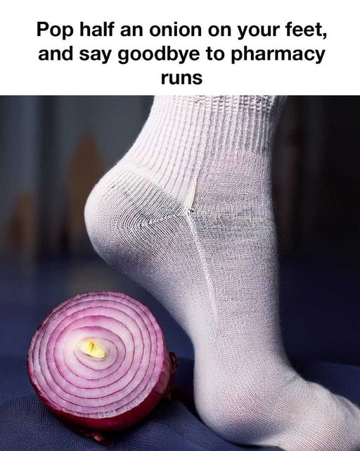 468520616 1098423422070618 9210933698336555271 N