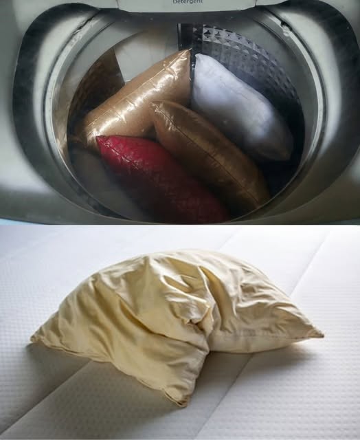 468962663 504902165921927 5357597664458419708 N