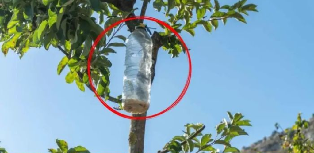 76 2024 11 09t215844.950