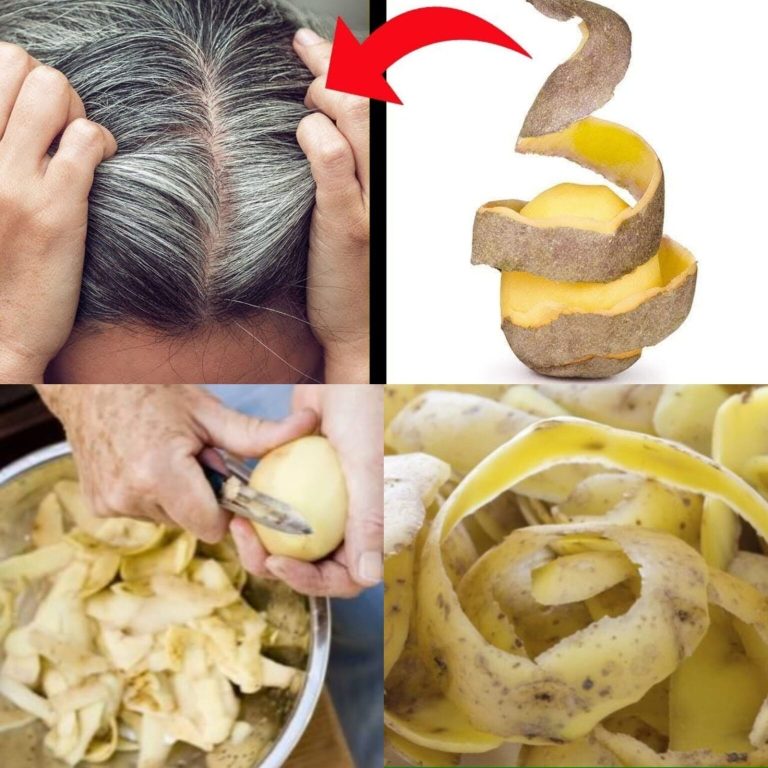 457655792 122178020390191089 3451631742703358298 N 1536x1536