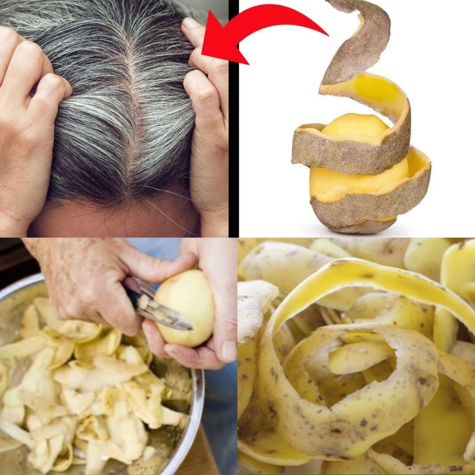 457655792 122178020390191089 3451631742703358298 N 1536x1536