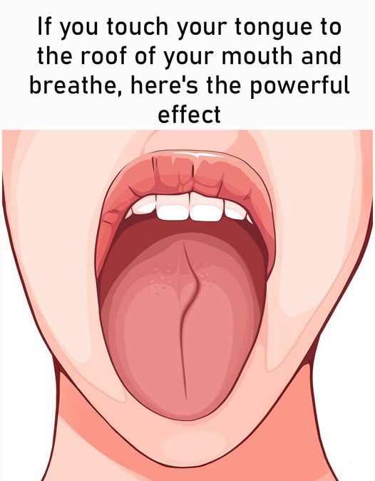 466682719 122127703418438370 2388205081777785306 N