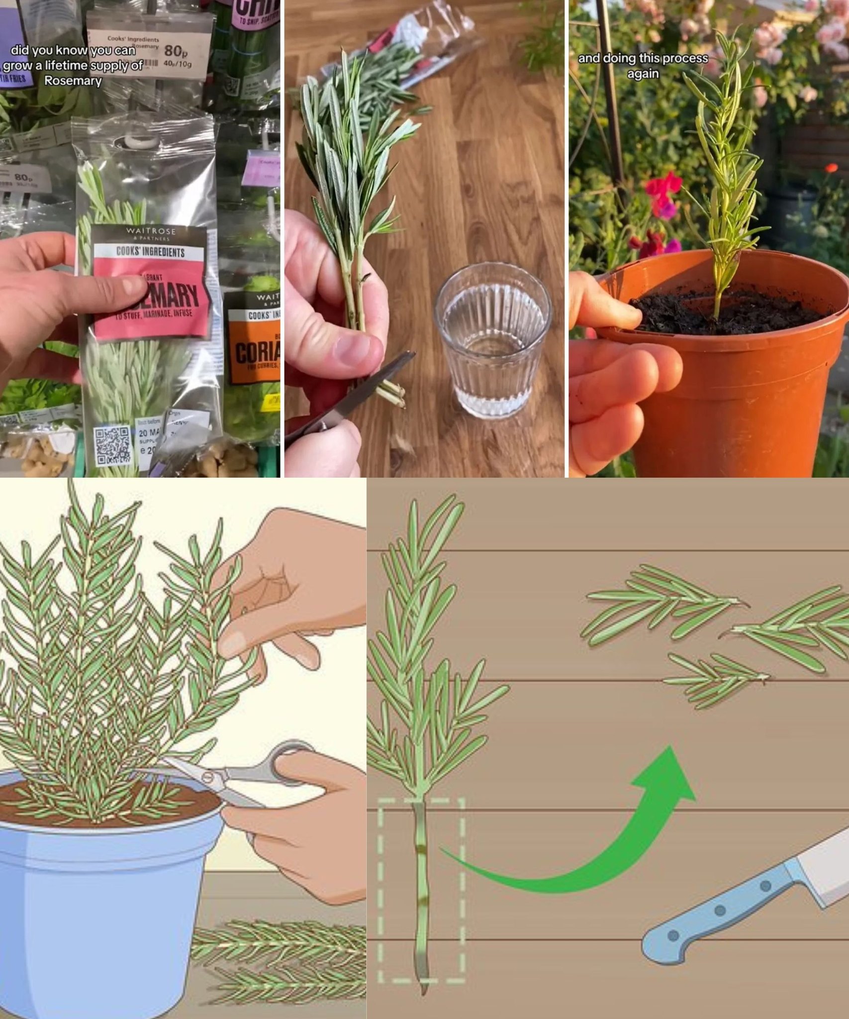 467648038 122168608418093586 5845538360950856684 N