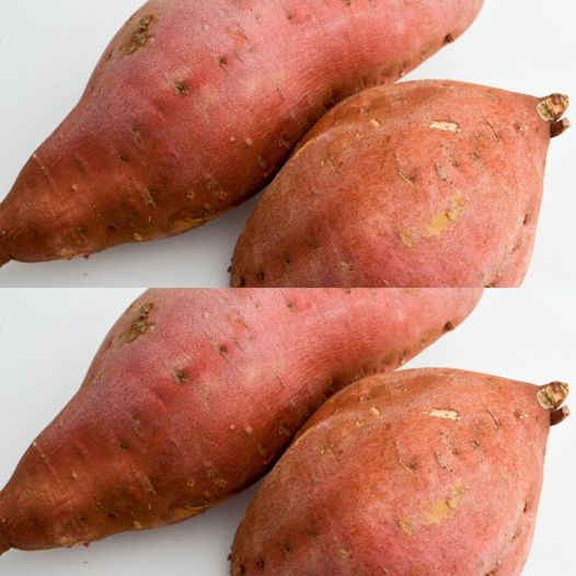 468402247 122186428826175577 1762746820828432182 N