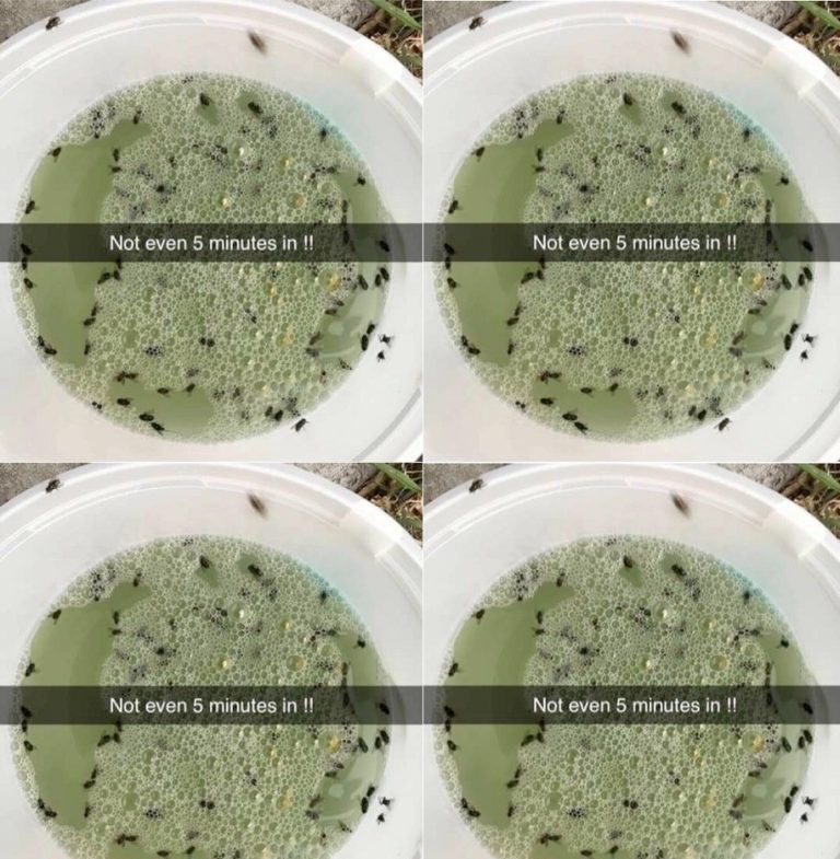 468581246 1792141304890047 818227154798884268 N